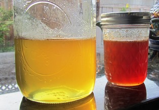 Honey can widely vary in color and taste, depending on the type of pollen the bees have collected