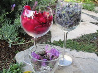 Rose petals, Spanish lavender, and French perfume lavender can all be used to make a flower essence