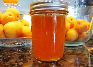 The exquisite color of my first batch of apricot jam is preserved due to lemon juice