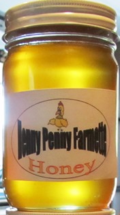 Spring honey for our family has been drained from a frame, strained, and bottled