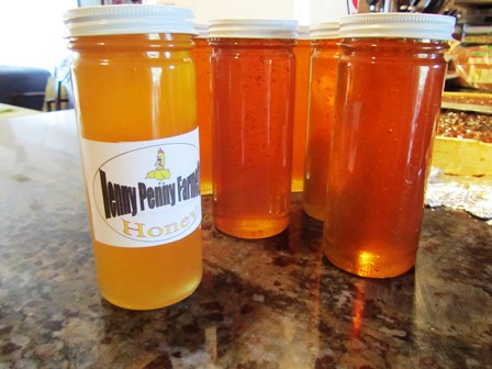 A single frame produced eight 16-ounce jars of honey