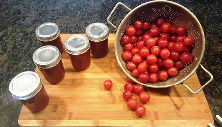 I made a test batch of the wild plum jam to make sure it tasted great before canning a lot of jars 