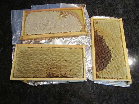 Springtime honey appears golden whereas autumn honey is often darker (depending on what's flowering)