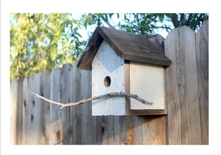 This DIY birdhouse is crafted from a repurposed fence board. Not all birds will take up residence in a house, but many will. 