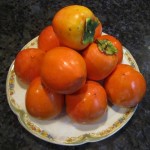 Hachiya  persimmons are delicious when they ripen to softness