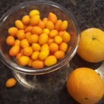 Kumquats and oranges are the perfect combo for marmalade