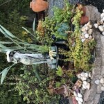 Stones suggest flowing water in this grouping of succulents around a statue